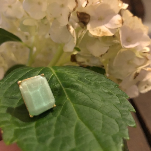 Teal Earrings - Picture 2 of 4